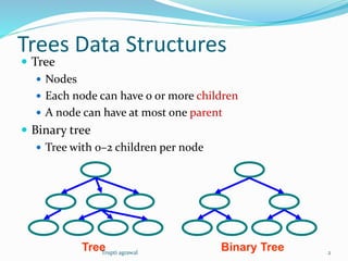 Trees (data structure) | PPT