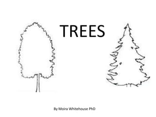 Must be downloaded to get the animation effects.




             TREES


          By Moira Whitehouse PhD
 