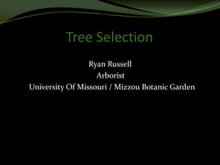 Tree Selection
                 Ryan Russell
                   Arborist
University Of Missouri / Mizzou Botanic Garden
 