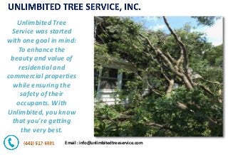 Email : info@unlimbitedtreeservice.com
Unlimbited Tree
Service was started
with one goal in mind:
To enhance the
beauty and value of
residential and
commercial properties
while ensuring the
safety of their
occupants. With
Unlimbited, you know
that you're getting
the very best.
 