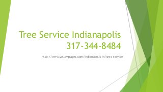Tree Service Indianapolis
317-344-8484
http://www.yellowpages.com/indianapolis-in/tree-service
 