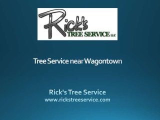 Tree Service near Wagontown