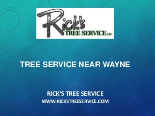 RICK'S TREE SERVICE
WWW.RICKSTREESERVICE.COM
TREE SERVICE NEAR WAYNE
 