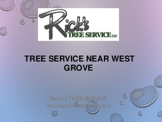 RICK'S TREE SERVICE
WWW.RICKSTREESERVICE.COM
TREE SERVICE NEAR WEST
GROVE
 