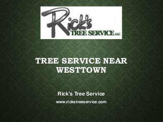 Rick's Tree Service
www.rickstreeservice.com
TREE SERVICE NEAR
WESTTOWN
 