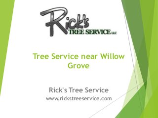 Rick's Tree Service
www.rickstreeservice.com
Tree Service near Willow
Grove
 