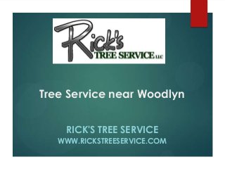 RICK'S TREE SERVICE
WWW.RICKSTREESERVICE.COM
Tree Service near Woodlyn
 