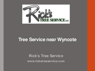 Rick's Tree Service
www.rickstreeservice.com
Tree Service near Wyncote
 