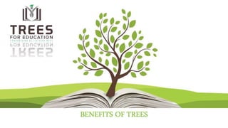 BENEFITS OF TREES
 
