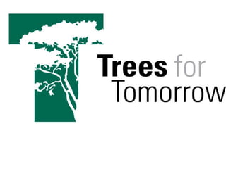 Trees for tomorrow