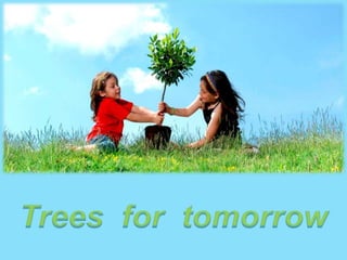 Trees for tomorrow