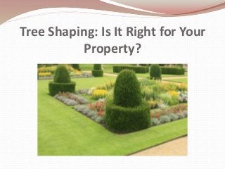 Tree Shaping: Is It Right for Your
Property?
 
