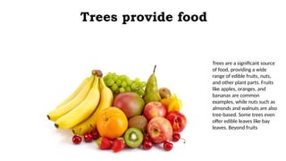The Vital Role of Trees in Combating Climate Change and Supporting Life ...