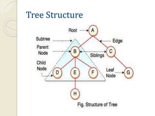 Trees in data structures | PPT