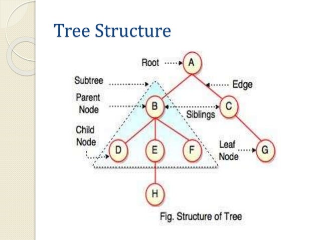 Trees in data structures | PPTX | Programming Languages | Computing