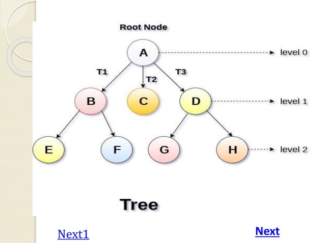 Trees in data structures | PPTX | Programming Languages | Computing
