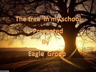 The tree  in my school,[object Object],Presented,[object Object],By,[object Object],Eagle  Group,[object Object]