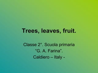 Trees, leaves, fruit.

Classe 2°. Scuola primaria
      “G. A. Farina”.
     Caldiero – Italy -
 
