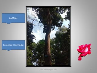 KARMAL
Karambal ( Kannada)
er.vs.ekbote@gmail.com 3
 