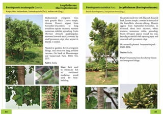 Trees of hyderabad | PDF