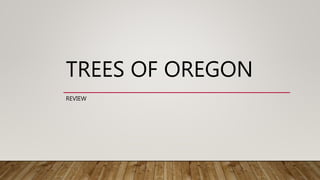 TREES OF OREGON
REVIEW
 