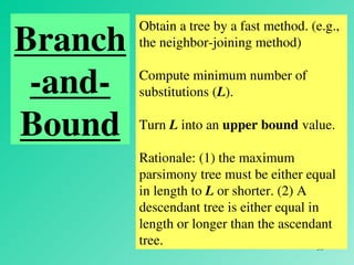 Tree Length Method Trees_part2 phylogenetic molecular tree ppt | PPT