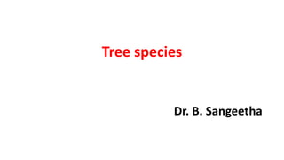 Tree species
Dr. B. Sangeetha
 