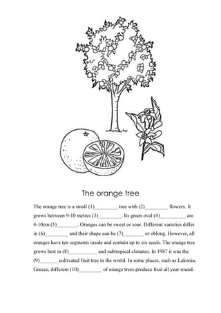 The orange tree
The orange tree is a small (1)_________ tree with (2)_________ flowers. It
grows between 9-10 metres (3)_________. Its green oval (4)__________ are
4-10cm (5)________. Oranges can be sweet or sour. Different varieties differ
in (6)_________ and their shape can be (7)________ or oblong. However, all
oranges have ten segments inside and contain up to six seeds. The orange tree
grows best in (8)___________ and subtropical climates. In 1987 it was the
(9)_______ cultivated fruit tree in the world. In some places, such as Lakonia,
Greece, different (10)_________ of orange trees produce fruit all year round.
 