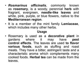 • Rosmarinus officinalis, commonly known
as rosemary, is a woody, perennial herb with
fragrant, evergreen, needle-like leaves and
white, pink, purple, or blue flowers, native to the
Mediterranean region.
• It is a member of the mint family Lamiaceae,
which includes many other herbs.
Usage
• Rosemary is used as a decorative plant in
gardens where it may have pest
control effects. The leaves are used to flavor
various foods, such as stuffing and roast
meats. They have a bitter, astringent taste and a
characteristic aroma which complements many
cooked foods. Herbal tea can be made from the
leaves.
 