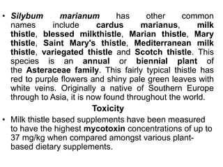 • Silybum marianum has other common
names include cardus marianus, milk
thistle, blessed milkthistle, Marian thistle, Mary
thistle, Saint Mary's thistle, Mediterranean milk
thistle, variegated thistle and Scotch thistle. This
species is an annual or biennial plant of
the Asteraceae family. This fairly typical thistle has
red to purple flowers and shiny pale green leaves with
white veins. Originally a native of Southern Europe
through to Asia, it is now found throughout the world.
Toxicity
• Milk thistle based supplements have been measured
to have the highest mycotoxin concentrations of up to
37 mg/kg when compared amongst various plant-
based dietary supplements.
 