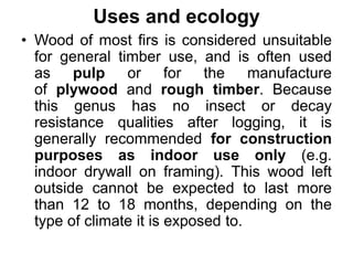 Uses and ecology
• Wood of most firs is considered unsuitable
for general timber use, and is often used
as pulp or for the manufacture
of plywood and rough timber. Because
this genus has no insect or decay
resistance qualities after logging, it is
generally recommended for construction
purposes as indoor use only (e.g.
indoor drywall on framing). This wood left
outside cannot be expected to last more
than 12 to 18 months, depending on the
type of climate it is exposed to.
 