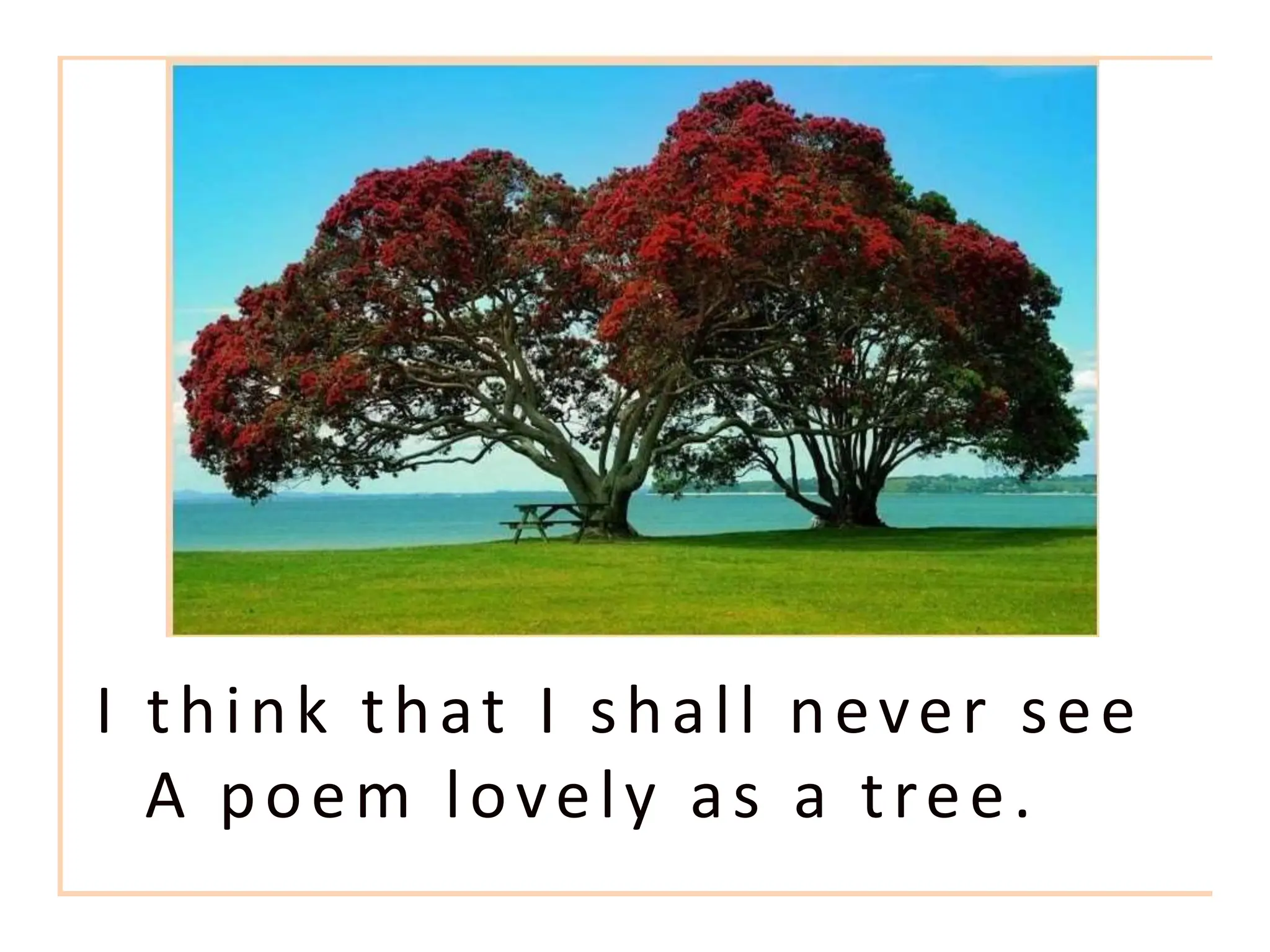 I think that I shall never see
A poem lovely as a tree.
 