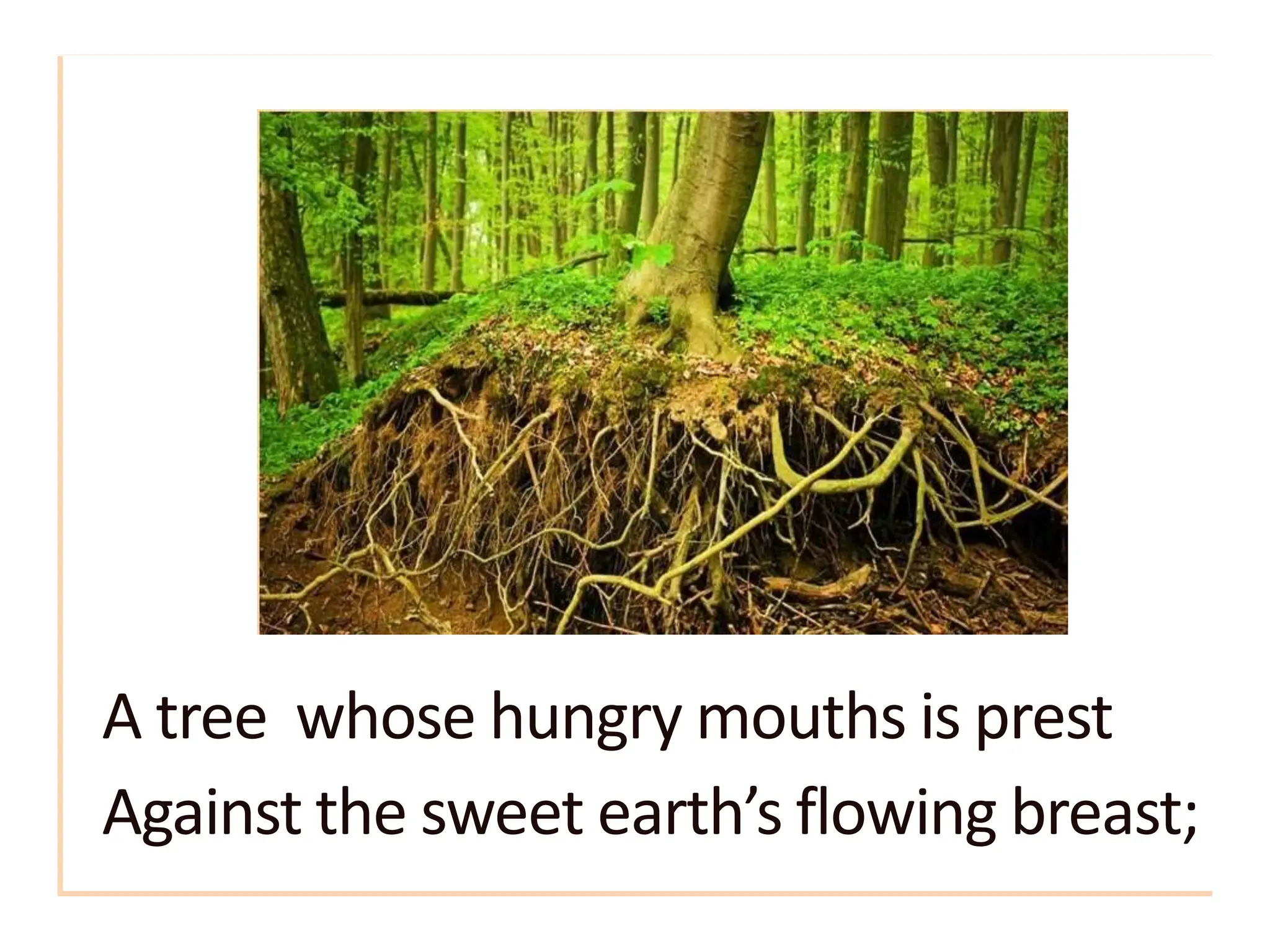 A tree whose hungry mouths is prest
Against the sweet earth’s flowing breast;
 