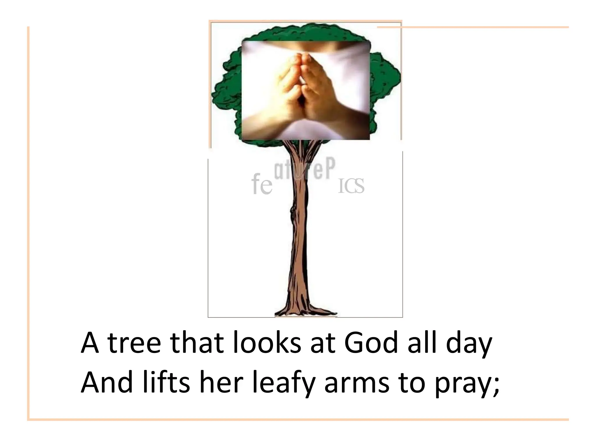 fe IC
S
A tree that looks at God all day
And lifts her leafy arms to pray;
 