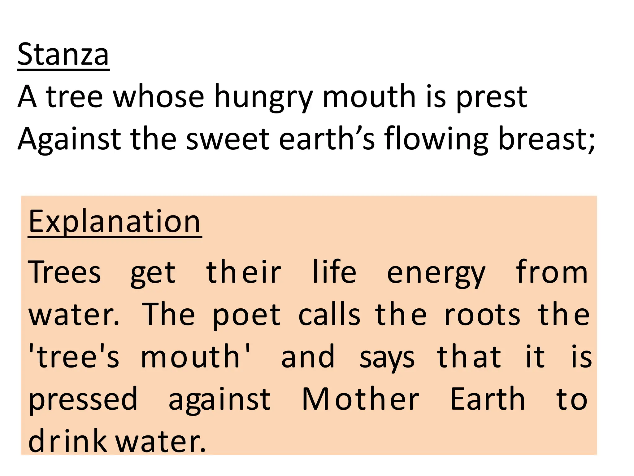 Stanza
A tree whose hungry mouth is prest
Against the sweet earth’s flowing breast;
Explanation
Trees get their life energy from
water. The poet calls the roots the
'tree's mouth' and says that it is
pressed against Mother Earth to
drink water.
 