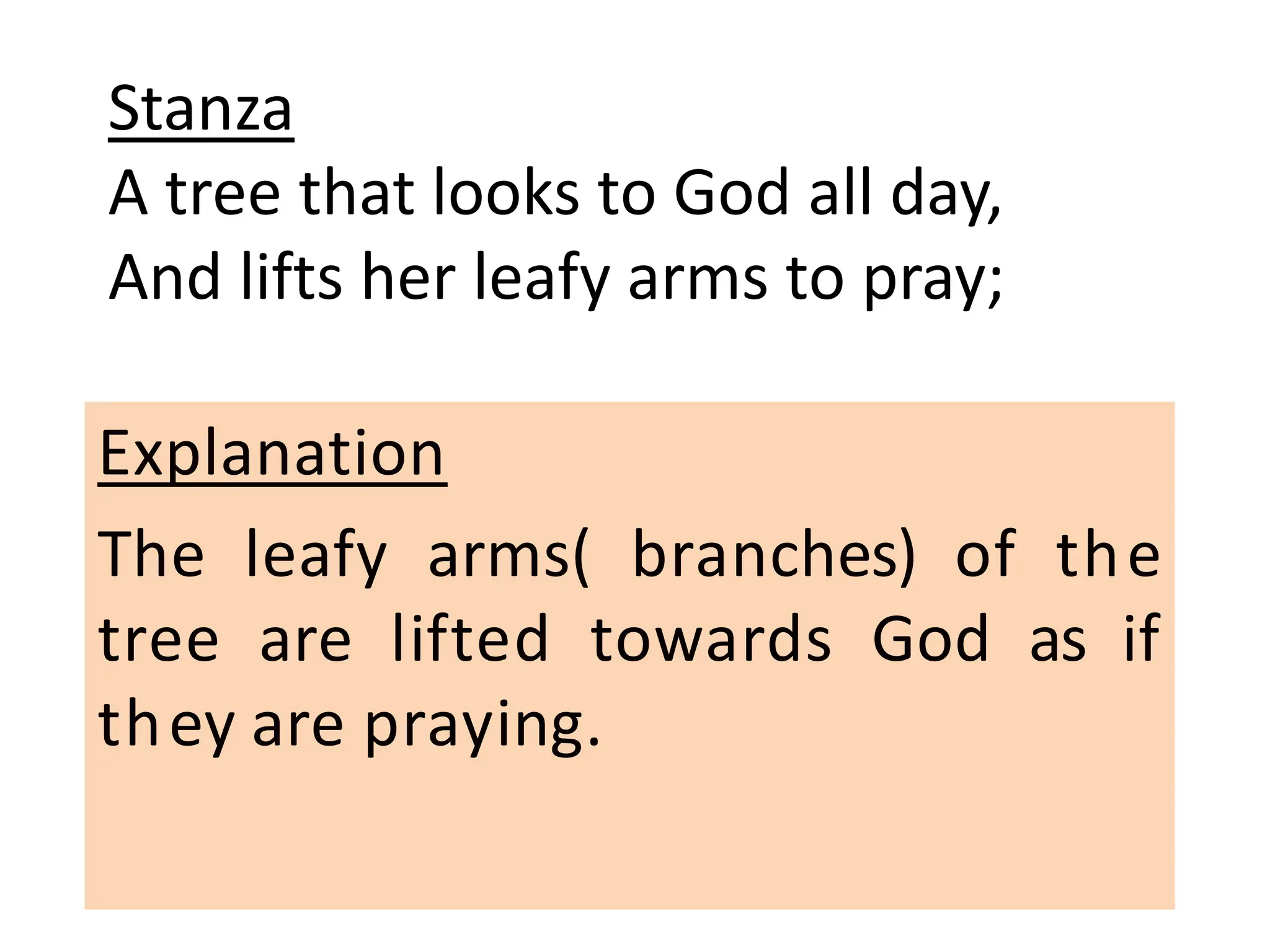 Stanza
A tree that looks to God all day,
And lifts her leafy arms to pray;
Explanation
The leafy arms( branches) of the
tree are lifted towards God as if
they are praying.
 