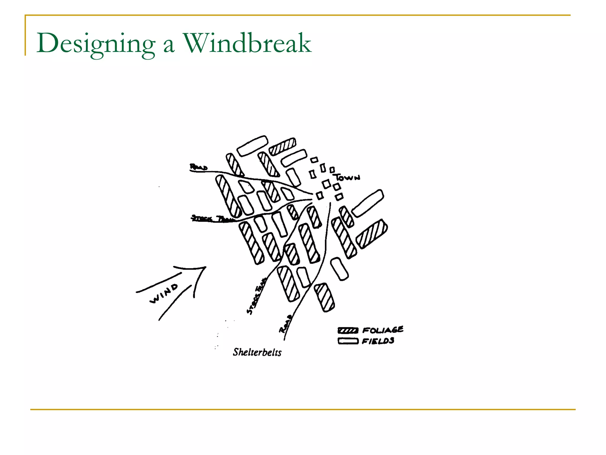 Designing a Windbreak
 