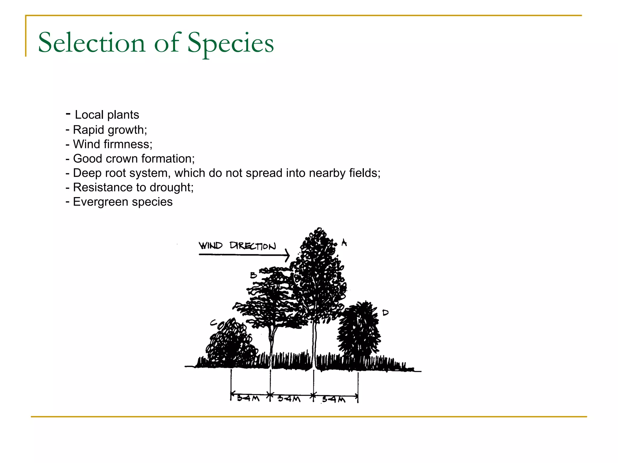Selection of Species

  - Local plants
  - Rapid growth;
  - Wind firmness;
  - Good crown formation;
  - Deep root system, which do not spread into nearby fields;
  - Resistance to drought;
  - Evergreen species
 