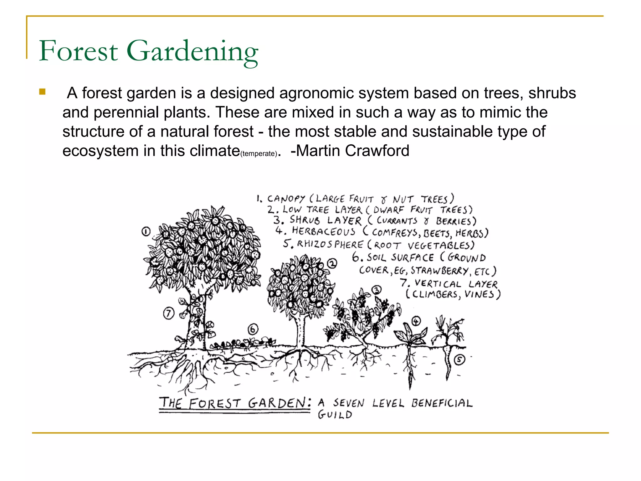 Forest Gardening
    A forest garden is a designed agronomic system based on trees, shrubs
    and perennial plants. These are mixed in such a way as to mimic the
    structure of a natural forest - the most stable and sustainable type of
    ecosystem in this climate(temperate). -Martin Crawford
 