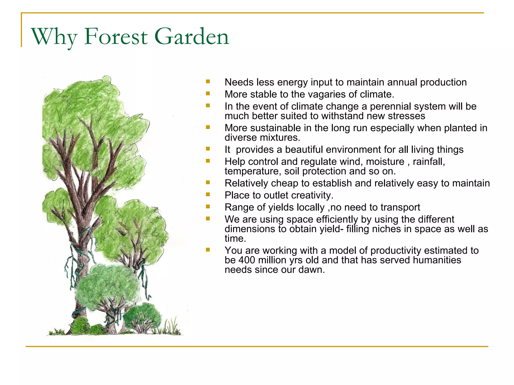 Why Forest Garden
                 Needs less energy input to maintain annual production
                 More stable to the vagaries of climate.
                 In the event of climate change a perennial system will be
                  much better suited to withstand new stresses
                 More sustainable in the long run especially when planted in
                  diverse mixtures.
                 It provides a beautiful environment for all living things
                 Help control and regulate wind, moisture , rainfall,
                  temperature, soil protection and so on.
                 Relatively cheap to establish and relatively easy to maintain
                 Place to outlet creativity.
                 Range of yields locally ,no need to transport
                 We are using space efficiently by using the different
                  dimensions to obtain yield- filling niches in space as well as
                  time.
                 You are working with a model of productivity estimated to
                  be 400 million yrs old and that has served humanities
                  needs since our dawn.
 