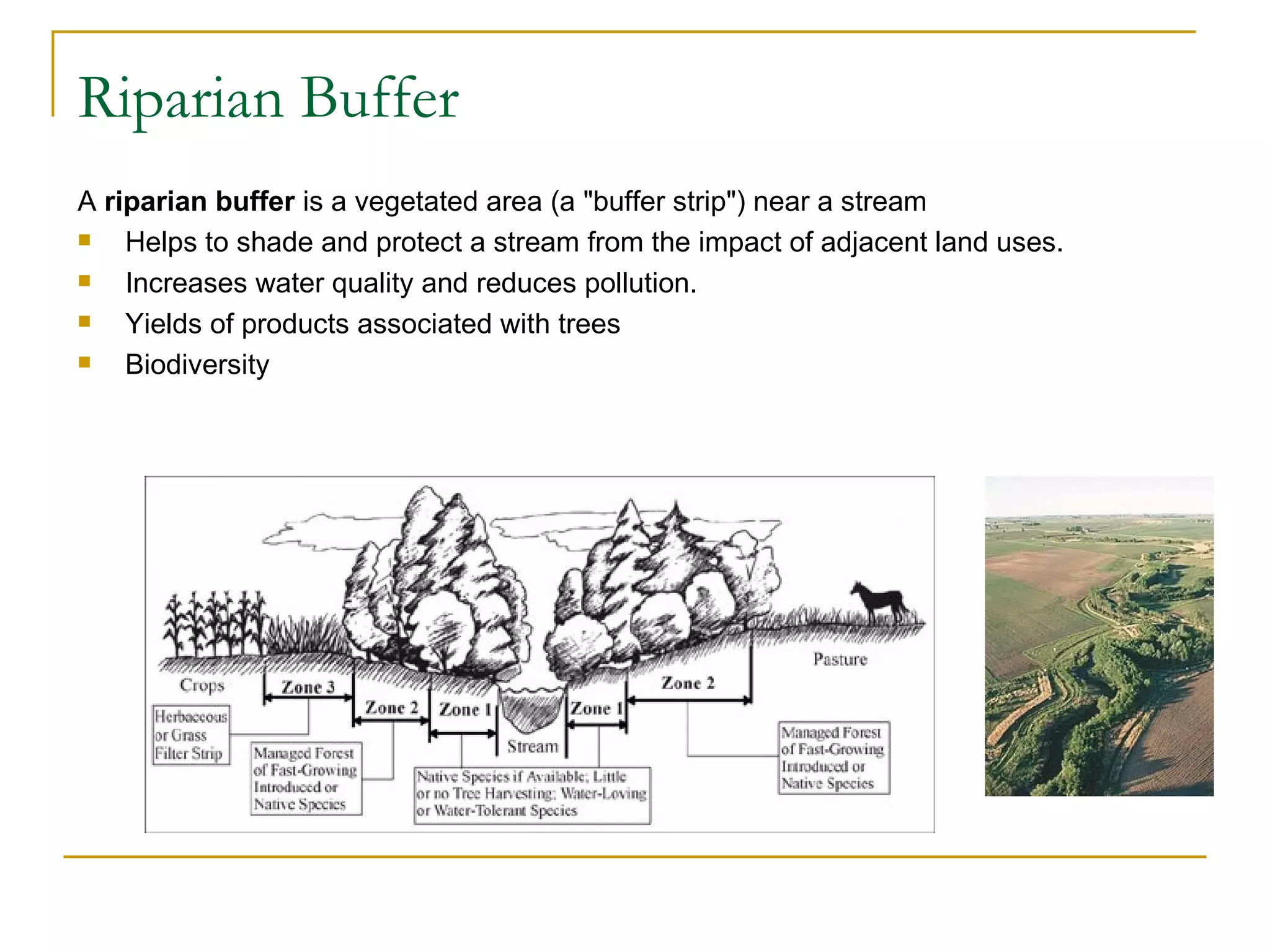 Riparian Buffer
A riparian buffer is a vegetated area (a "buffer strip") near a stream
   Helps to shade and protect a stream from the impact of adjacent land uses.
   Increases water quality and reduces pollution.
   Yields of products associated with trees
   Biodiversity
 
