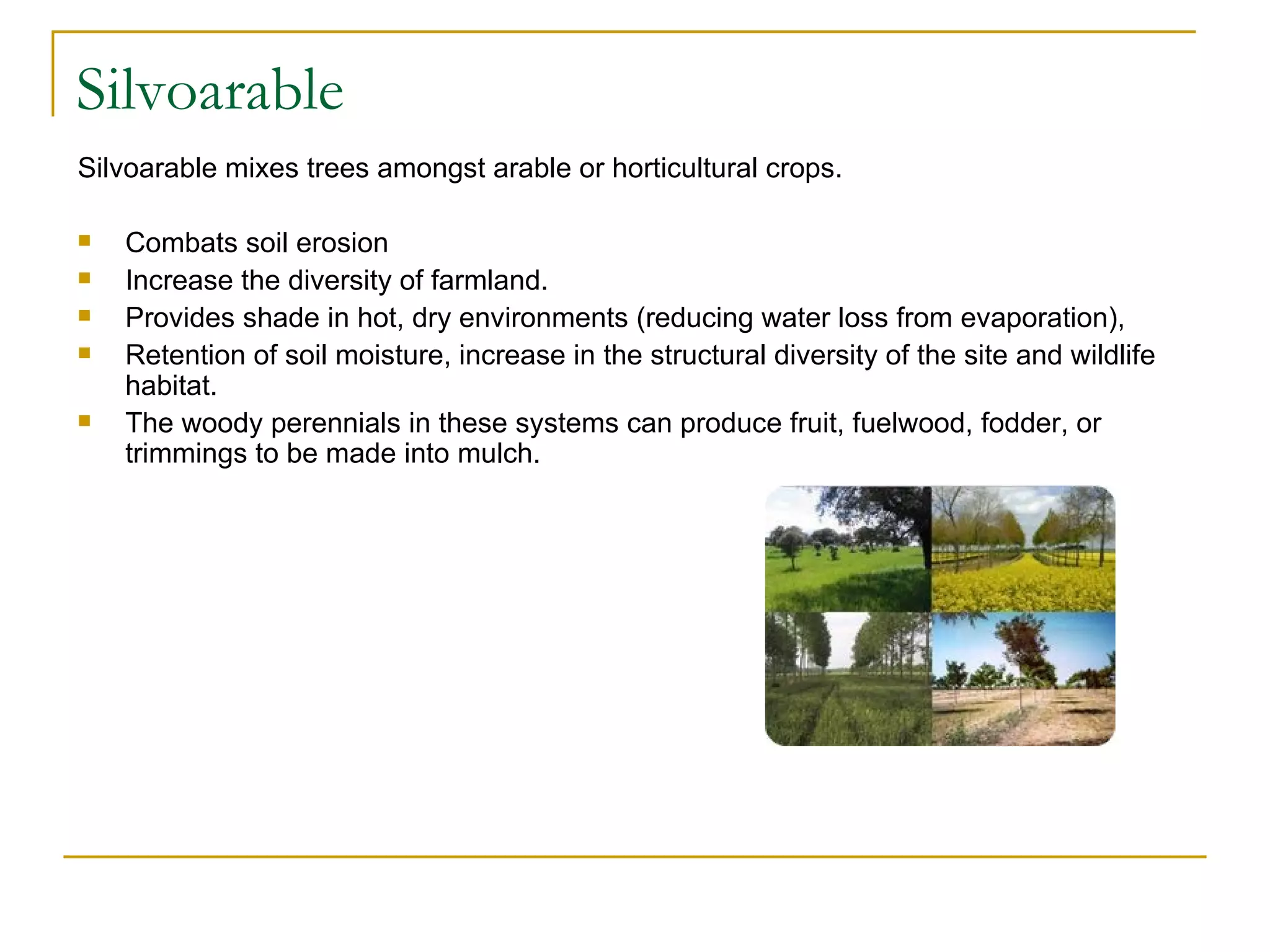Silvoarable
Silvoarable mixes trees amongst arable or horticultural crops.

   Combats soil erosion
   Increase the diversity of farmland.
   Provides shade in hot, dry environments (reducing water loss from evaporation),
   Retention of soil moisture, increase in the structural diversity of the site and wildlife
    habitat.
   The woody perennials in these systems can produce fruit, fuelwood, fodder, or
    trimmings to be made into mulch.
 