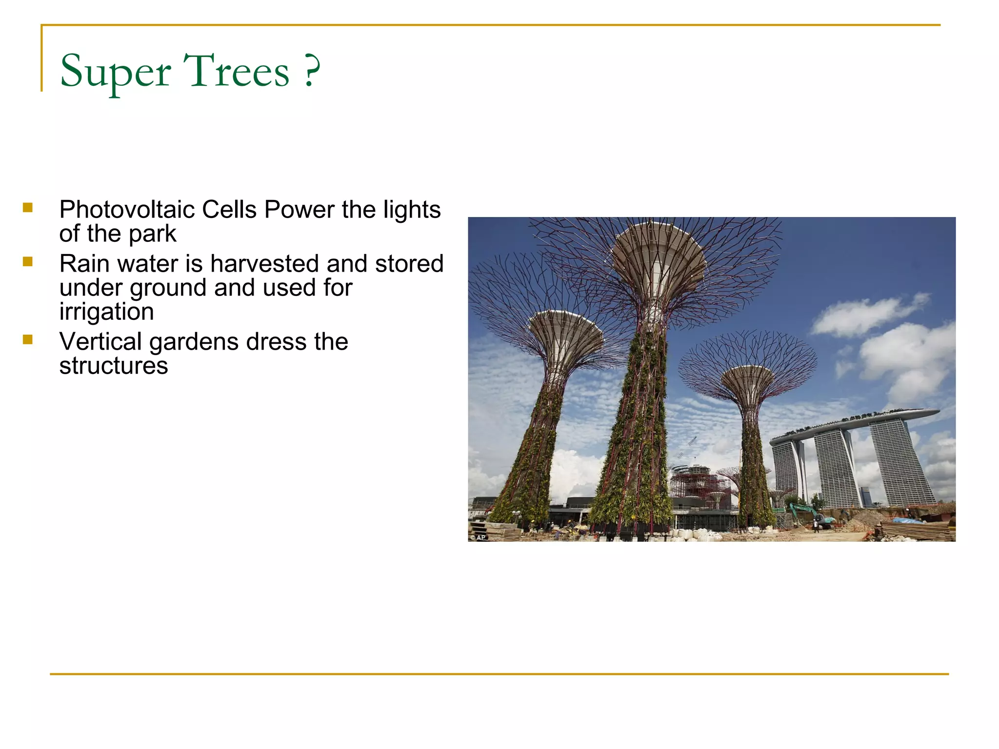 Super Trees ?

   Photovoltaic Cells Power the lights
    of the park
   Rain water is harvested and stored
    under ground and used for
    irrigation
   Vertical gardens dress the
    structures
 