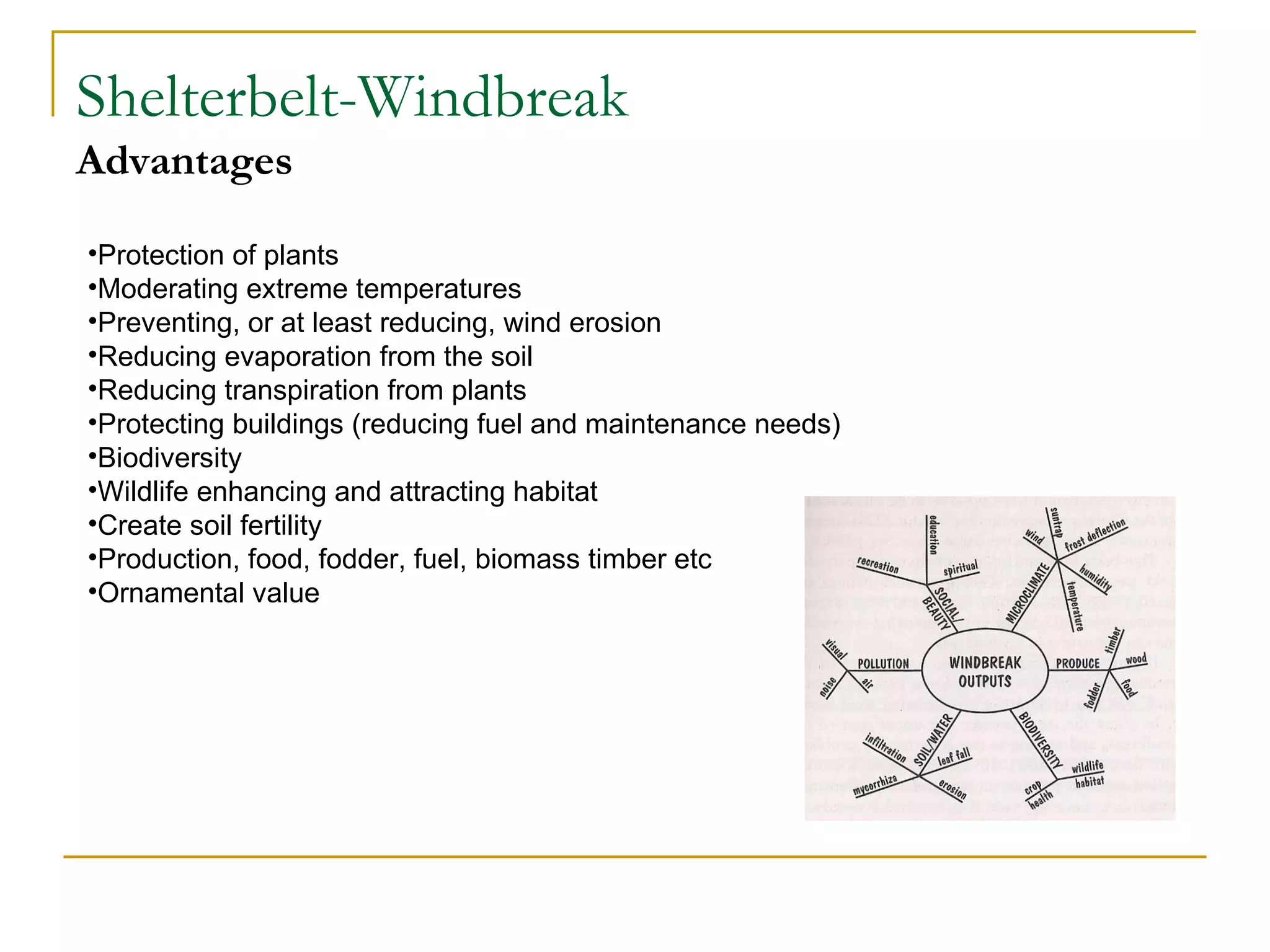 Shelterbelt-Windbreak
Advantages

•Protection of plants
•Moderating extreme temperatures
•Preventing, or at least reducing, wind erosion
•Reducing evaporation from the soil
•Reducing transpiration from plants
•Protecting buildings (reducing fuel and maintenance needs)
•Biodiversity
•Wildlife enhancing and attracting habitat
•Create soil fertility
•Production, food, fodder, fuel, biomass timber etc
•Ornamental value
 