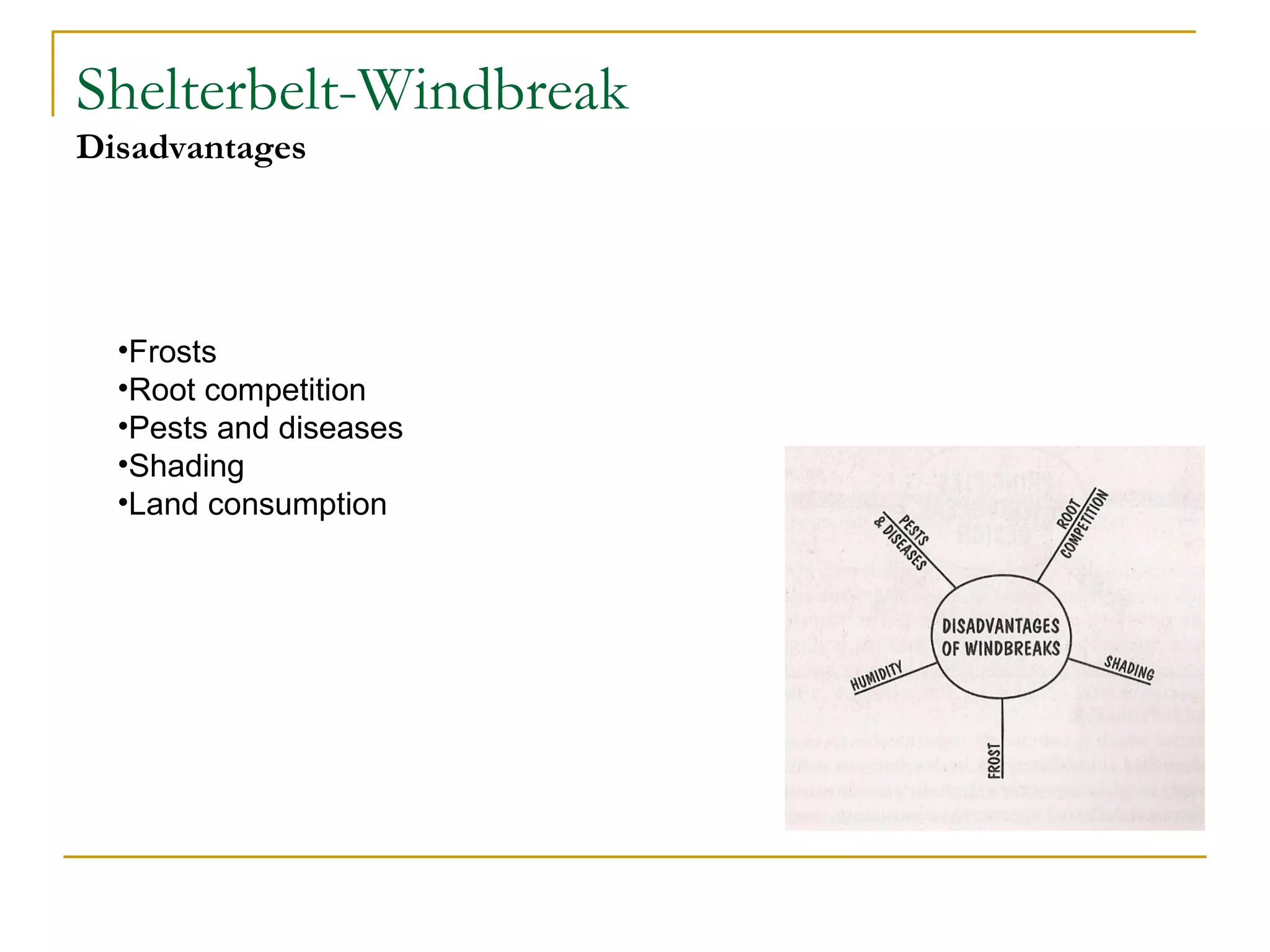 Shelterbelt-Windbreak
Disadvantages




  •Frosts
  •Root competition
  •Pests and diseases
  •Shading
  •Land consumption
 