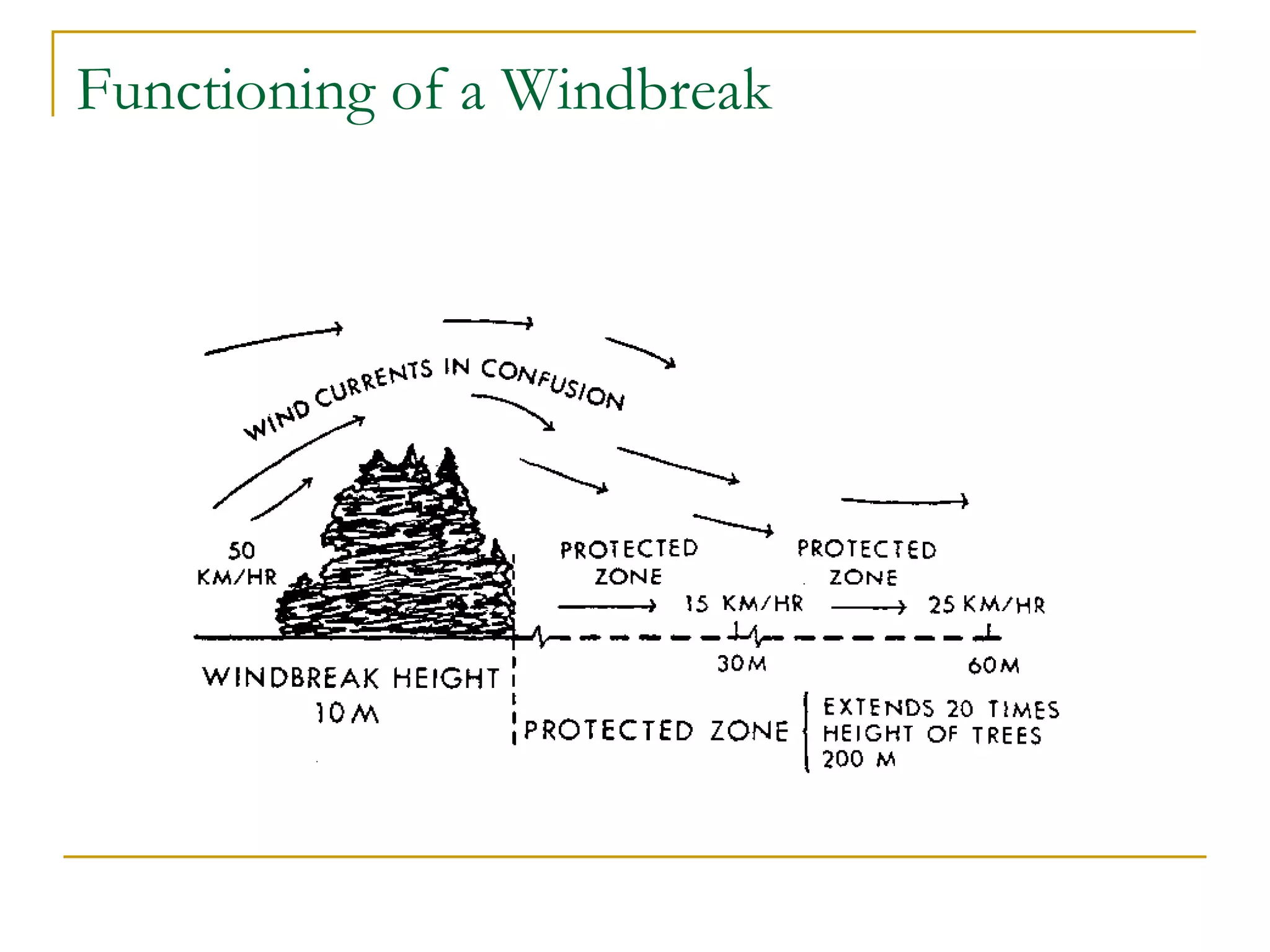 Functioning of a Windbreak
 