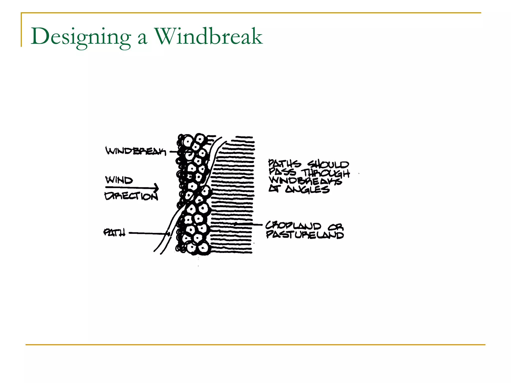 Designing a Windbreak
 