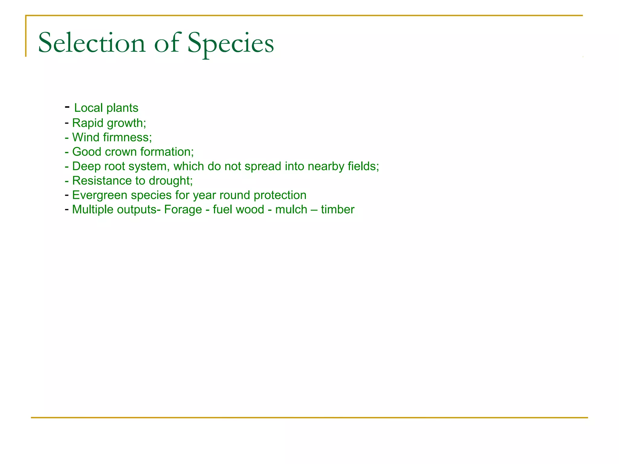 Trees power point | PPT | Gardening | Home & Garden