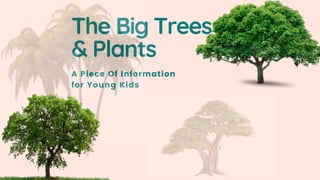 The Big Trees
& Plants
A Piece Of Information
for Young Kids
 