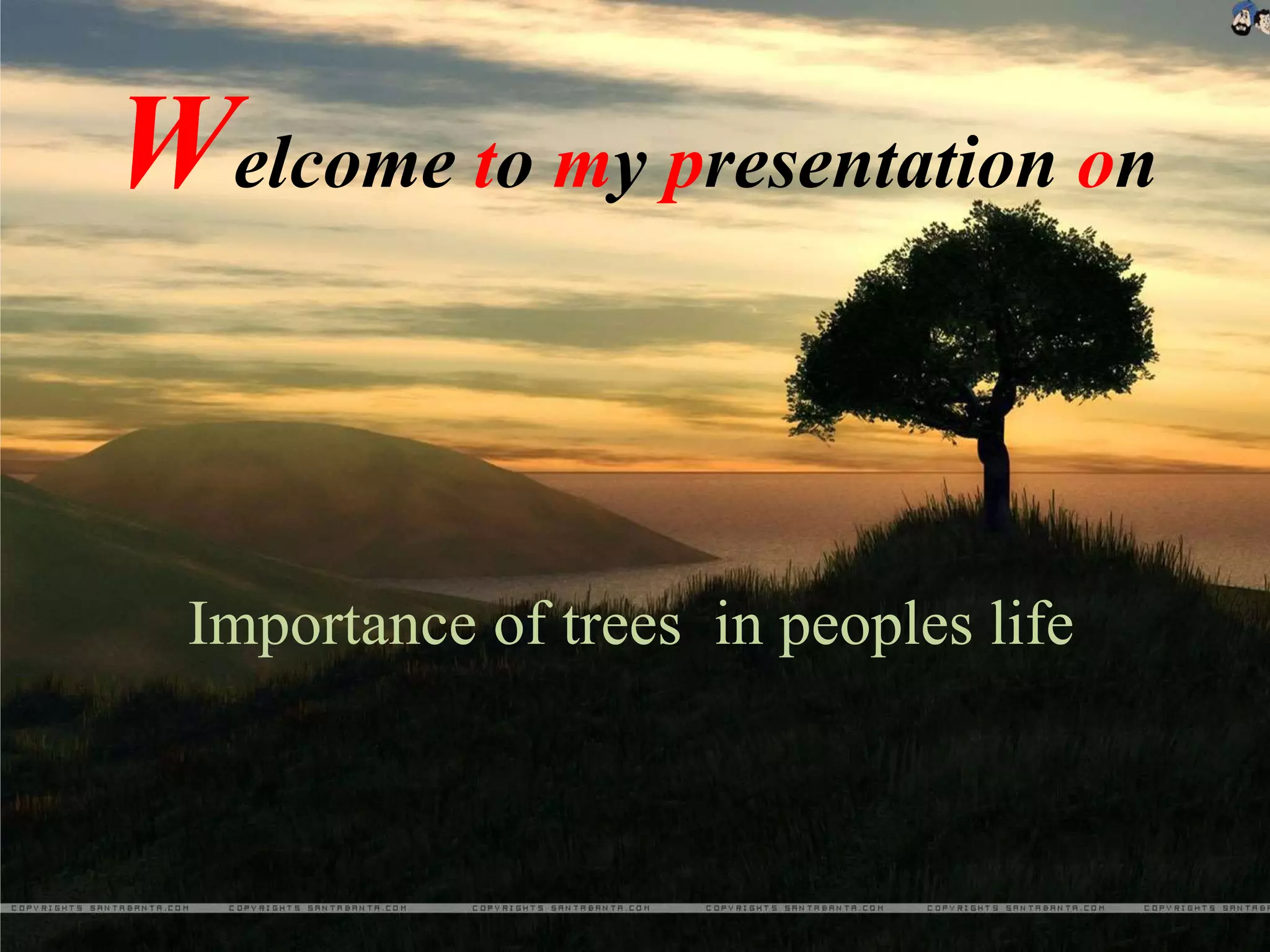 Welcome to my presentation on
Importance of trees in peoples life